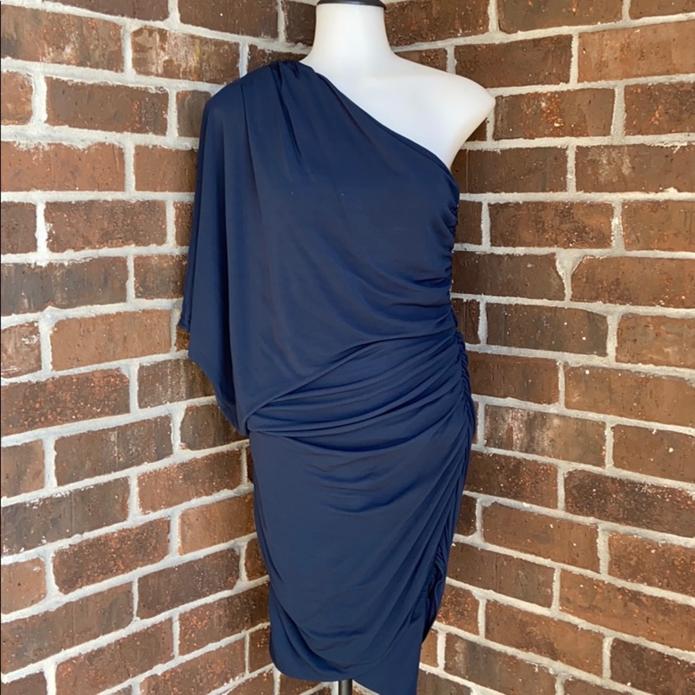 Nwt Haute Hippie one shoulder dress❤️